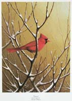 Ralph Waterhouse bird art